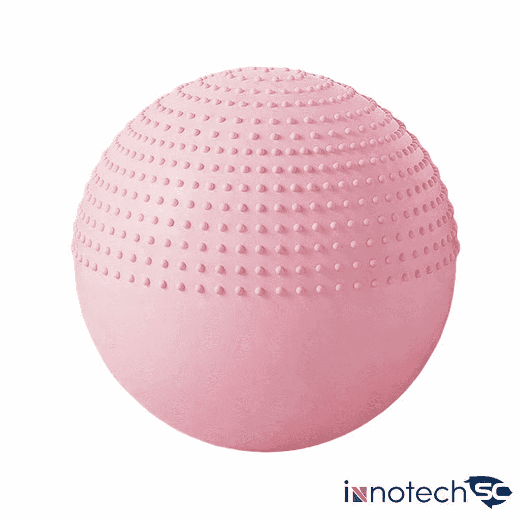 2-in-1 Massage & Stability Ball – 65cm Anti-Burst Exercise Ball with Pump