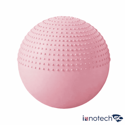 2-in-1 Massage & Stability Ball – 65cm Anti-Burst Exercise Ball with Pump